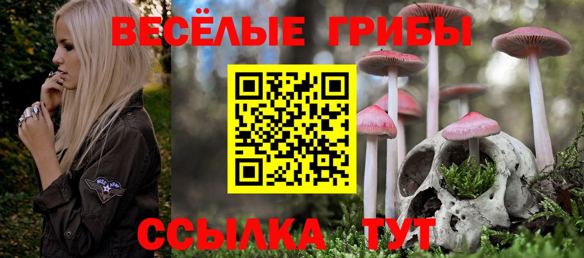 Зеленодольск  Псилоцибиновые грибы мухоморы  Вход с VPN 